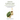 Green coffee diet - Despite eating normally reducing weight permanently: Lose kilo after kilo and reach you dream weight