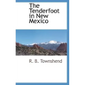 The Tenderfoot in New Mexico