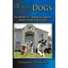 It Went to the Dogs: How Michael Vick's Dogfighting Compound Became a Haven for Rescue Pups