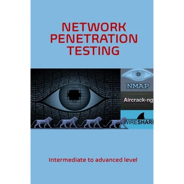 Network Penetration Testing