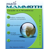 Math Mammoth Grade 4-A Worktext