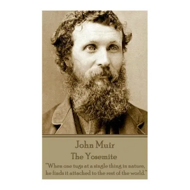 John Muir - The Yosemite: "When one tugs at a single thing in nature, he finds it attached to the rest of the world."
