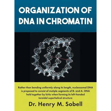 Organization of DNA in Chromatin
