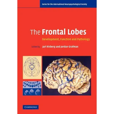 The Frontal Lobes