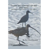 Close Encounters of the Bird Kind: Wild Birds in San Francisco and Other Places