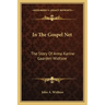 In The Gospel Net: The Story Of Anna Karine Gaarden Widtsoe