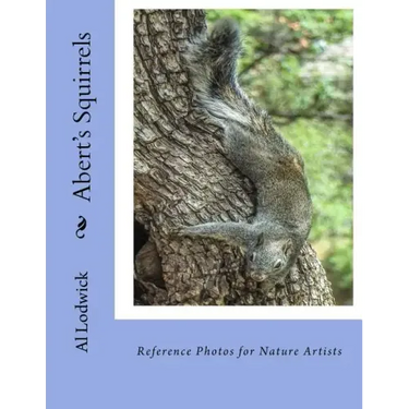 Abert's Squirrels: Reference Photos for Nature Artists