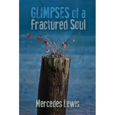 Glimpses of a Fractured Soul