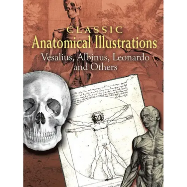 Classic Anatomical Illustrations: Vesalius, Albinus, Leonardo and Others