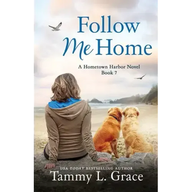 Follow Me Home