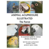 Animal Acupressure Illustrated The Parrot