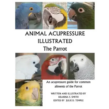 Animal Acupressure Illustrated The Parrot