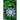 Awakening From A Deep Sleep