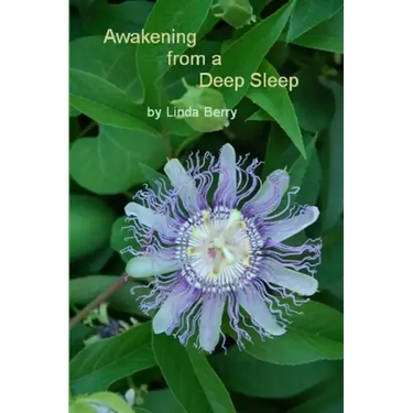 Awakening From A Deep Sleep