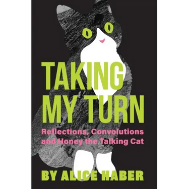 Taking My Turn: Reflections, Convolutions and Honey the Talking Cat