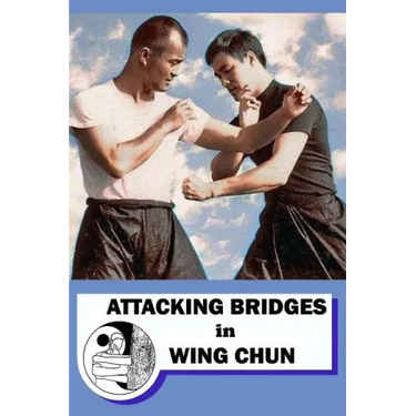 Attacking bridges in Wing Chun