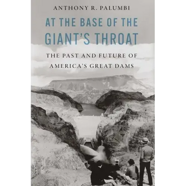 At the Base of the Giant's Throat: The Past and Future of America's Great Dams