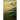 The Garden of Evening Mists