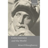 Consciousness and the World