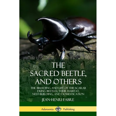 The Sacred Beetle, and Others: The Breeding and Life of the Scarab Dung Beetles; their Habitat, Nest-Building, and Domestication