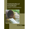 Contamination of Groundwater: Analysis and Remediation