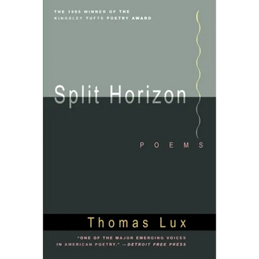 Split Horizon Pa