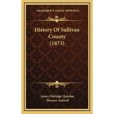 History Of Sullivan County (1873)
