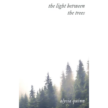 The light between the trees