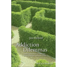 Addiction Dilemmas: Family Experiences from Literature and Research and Their Lessons for Practice