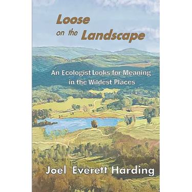 Loose on the Landscape
