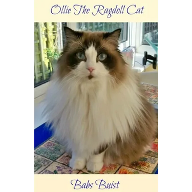 Ollie The Ragdoll Cat: A Book for Cat Lovers of All Ages