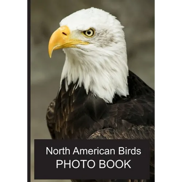 North American Birds Photo Book: 40 Different Bird Photos With Identification Names For Alzheimer & Dementia Patients To Help With Memories and Memory