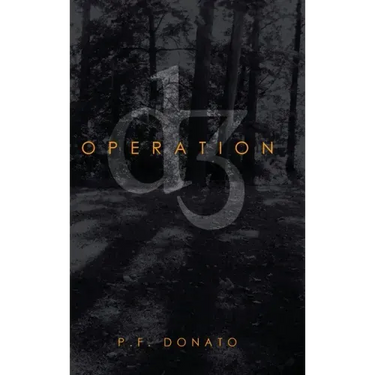 Operation D3
