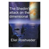 The Shedim's attack on the dimensional portals