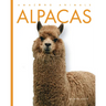 Alpacas