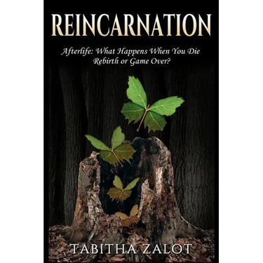 Reincarnation: Afterlife: Life After Death - What Happens When You Die? Rebirth or Game Over?