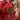 e2298012d3ef4b6a9ae47770ed09adf8-Max