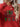 e2298012d3ef4b6a9ae47770ed09adf8-Max