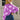 e38184ee73f649a5b04e6e23191b788e-Max
