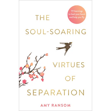 The Soul-Soaring Virtues of Separation: 111 Learnings to Heal Your Heart and Help You Fly