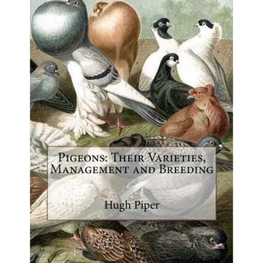 Pigeons: Their Varieties, Management and Breeding