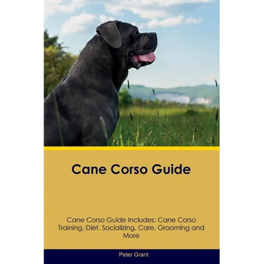 Cane Corso Guide Cane Corso Guide Includes: Cane Corso Training, Diet, Socializing, Care, Grooming, Breeding and More