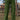 e41477b860dd41729983b69871b989c5-Max