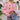 e66c1020704e4a269ffb7c30f2f72508-Max