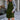 e6bccf15-6373-4430-848a-d6ca9ed26be7-Max