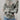 e79a4da3-d53c-4b12-993c-df7f8024f627-Max