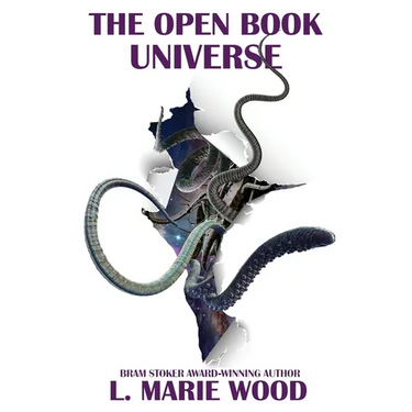 The Open Book Universe