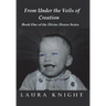 From Under the Veils of Creation: Book One of the Divine Dozen Series
