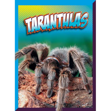 Tarantulas