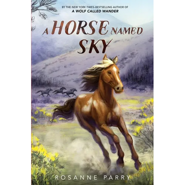 A Horse Named Sky